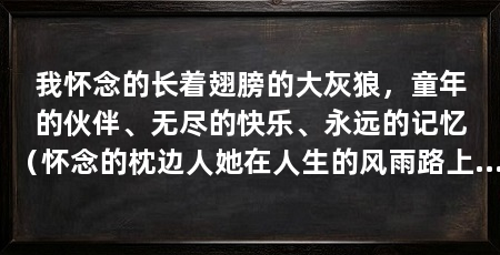 我怀念的长着翅膀的大灰狼,童年的伙伴、无尽的快乐、永远的记忆(怀念的枕边人她在人生的风雨路上边走边走边走边爱