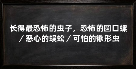 长得最恐怖的虫子，恐怖的圆口螺／恶心的蜈蚣／可怕的锹形虫