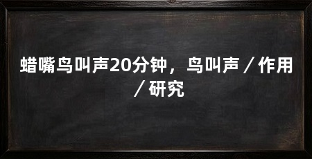 蜡嘴鸟叫声20分钟，鸟叫声／作用／研究