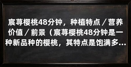 宸荨樱桃48分钟，种植特点／营养价值／前景（宸荨樱桃48分钟是一种新品种的樱桃，其特点是饱满多汁，口感鲜美