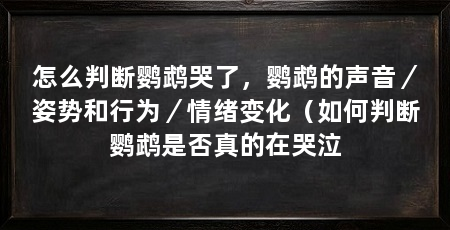 怎么判断鹦鹉哭了,鹦鹉的声音/姿势和行为/情绪变化(如何判断鹦鹉是否真的在哭泣