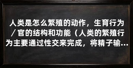 人类是怎么繁殖的动作，生育行为／官的结构和功能（人类的繁殖行为主要通过性交来完成，将精子输送到女性的子宫