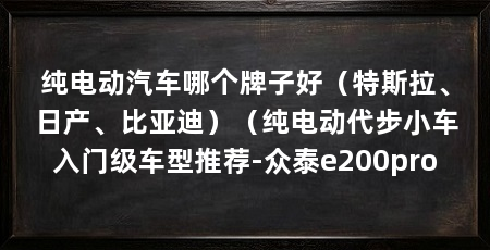 纯电动汽车哪个牌子好(特斯拉、日产、比亚迪)(纯电动代步小车入门级车型推荐-众泰e200pro