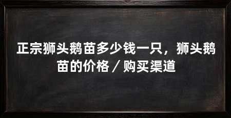 正宗狮头鹅苗多少钱一只,狮头鹅苗的价格/购买渠道