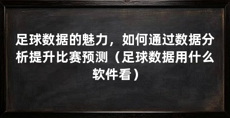 足球数据的魅力，如何通过数据分析提升比赛预测（足球数据用什么软件看）