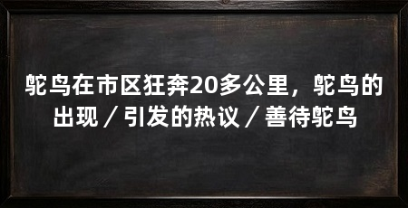 鸵鸟在市区狂奔20多公里,鸵鸟的出现/引发的热议/善待鸵鸟
