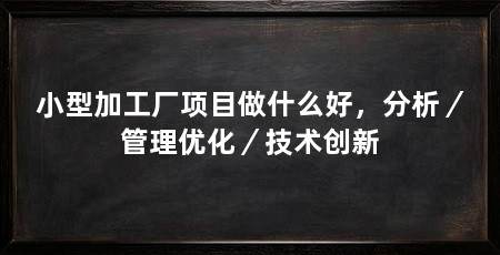 小型加工厂项目做什么好,分析/管理优化/技术创新