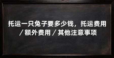 托运一只兔子要多少钱，托运费用／额外费用／其他注意事项
