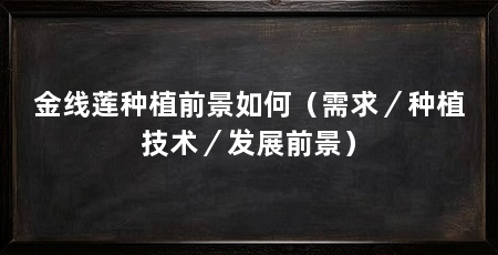 金线莲种植前景如何(需求/种植技术/发展前景)