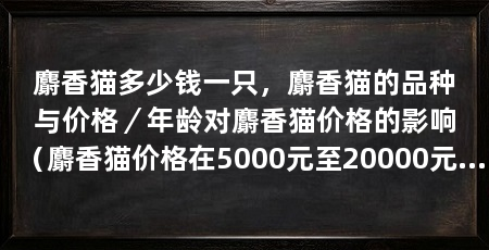 麝香猫多少钱一只,麝香猫的品种与价格/年龄对麝香猫价格的影响(麝香猫价格在5000元至20000元左右,麝香猫价格会受到影响
