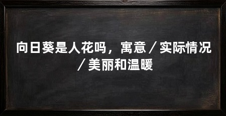 向日葵是人花吗，寓意／实际情况／美丽和温暖