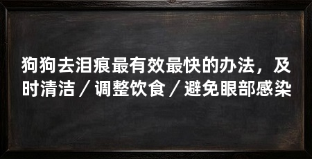 狗狗去泪痕最有效最快的办法，及时清洁／调整饮食／避免眼部感染