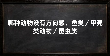 哪种动物没有方向感，鱼类／甲壳类动物／昆虫类