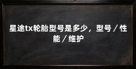 星途tx轮胎型号是多少，型号／性能／维护