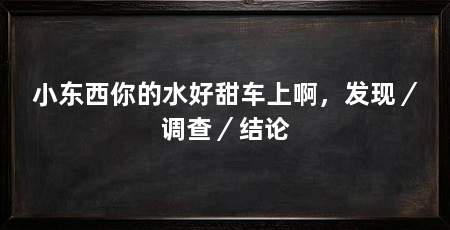 小东西你的水好甜车上啊，发现／调查／结论