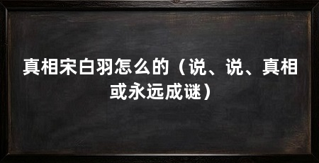 真相宋白羽怎么的(说、说、真相或永远成谜)