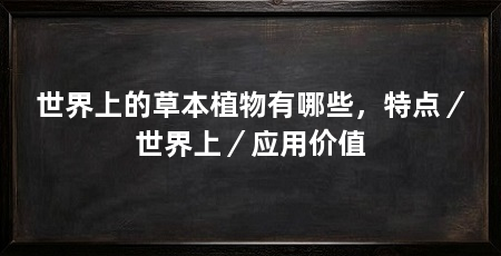 世界上的草本植物有哪些,特点/世界上/应用价值