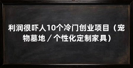 利润很吓人10个冷门创业项目（宠物墓地／个性化定制家具）