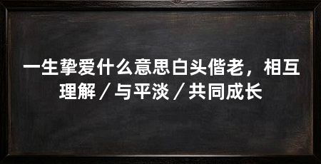 一生挚爱什么意思白头偕老，相互理解／与平淡／共同成长