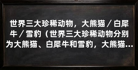 世界三大珍稀动物，大熊猫／白犀牛／雪豹（世界三大珍稀动物分别为大熊猫、白犀牛和雪豹，大熊猫是国宝