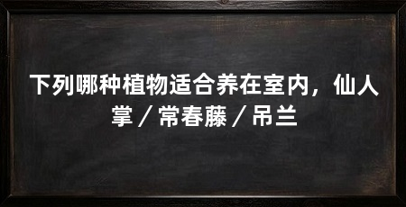 下列哪种植物适合养在室内,仙人掌/常春藤/吊兰
