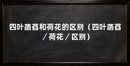 四叶菡萏和荷花的区别(四叶菡萏/荷花/区别)