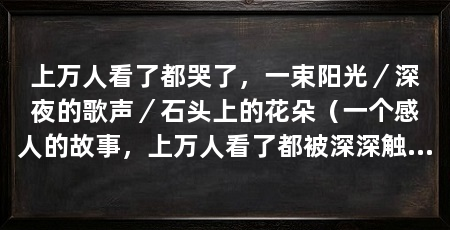 上万人看了都哭了,一束阳光/深夜的歌声/石头上的花朵(一个感人的故事,上万人看了都被深深触动,纷纷流泪