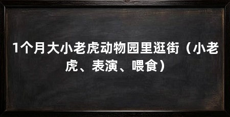 1个月大小老虎动物园里逛街(小老虎、表演、喂食)
