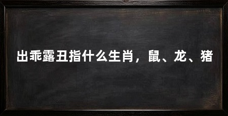 出乖露丑指什么生肖,鼠、龙、猪