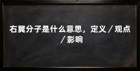右翼分子是什么意思,定义/观点/影响