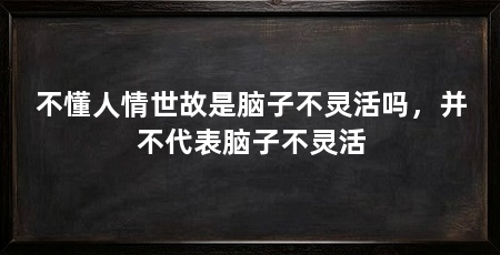 不懂人情世故是脑子不灵活吗,并不代表脑子不灵活