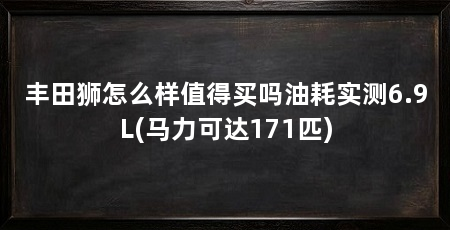 丰田狮怎么样值得买吗油耗实测6.9L(马力可达171匹)