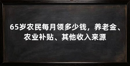65岁农民每月领多少钱，养老金、农业补贴、其他收入来源