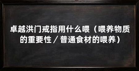 卓越洪门戒指用什么喂(喂养物质的重要性/普通食材的喂养)