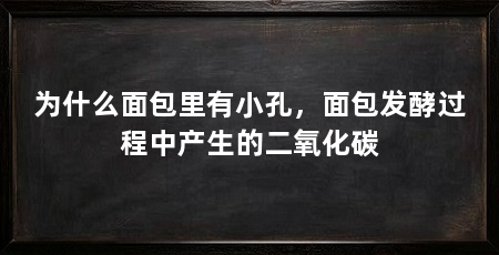 为什么面包里有小孔，面包发酵过程中产生的二氧化碳