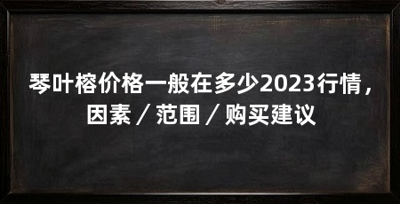 琴叶榕价格一般在多少2023行情,因素/范围/购买建议