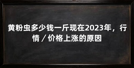黄粉虫多少钱一斤现在2023年，行情／价格上涨的原因