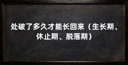 处破了多久才能长回来(生长期、休止期、脱落期)