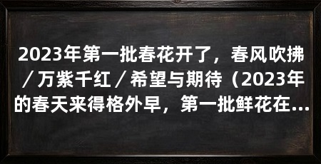 2023年第一批春花开了,春风吹拂/万紫千红/希望与期待(2023年的春天来得格外早,第一批鲜花在阳光的照耀下绽放