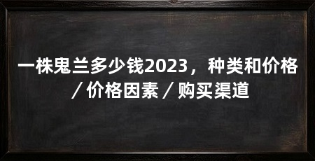 一株鬼兰多少钱2023,种类和价格/价格因素/购买渠道
