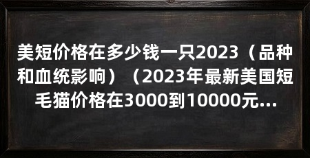 美短价格在多少钱一只2023(品种和血统影响)(2023年最新美国短毛猫价格在3000到10000元不等