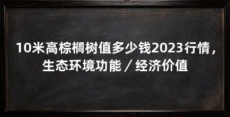 10米高棕榈树值多少钱2023行情，生态环境功能／经济价值