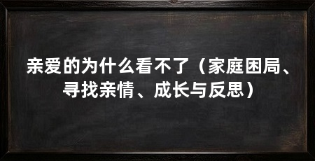 亲爱的为什么看不了（家庭困局、寻找亲情、成长与反思）