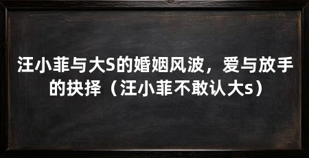 汪小菲与大S的婚姻风波,爱与放手的抉择(汪小菲不敢认大s)