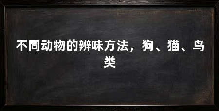 不同动物的辨味方法,狗、猫、鸟类
