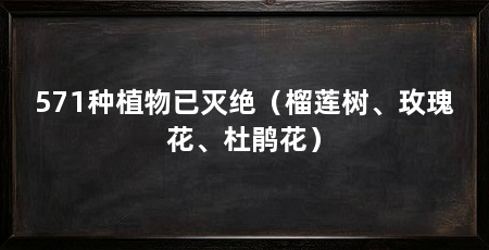 571种植物已灭绝(榴莲树、玫瑰花、杜鹃花)