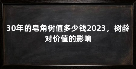 30年的皂角树值多少钱2023，树龄对价值的影响