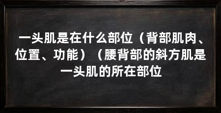 一头肌是在什么部位（背部肌肉、位置、功能）（腰背部的斜方肌是一头肌的所在部位