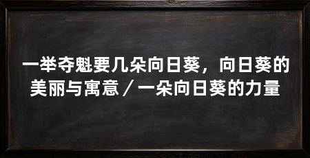 一举夺魁要几朵向日葵,向日葵的美丽与寓意/一朵向日葵的力量