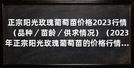 正宗阳光玫瑰葡萄苗价格2023行情（品种／苗龄／供求情况）（2023年正宗阳光玫瑰葡萄苗的价格行情主要取决于品种、苗龄以及供求情况